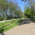 IMG_1348918