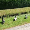 IMG_1348919