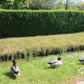 IMG_1348920