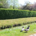 IMG_1348921