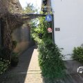 IMG_1348930