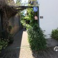 IMG_1348931