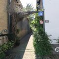 IMG_1348936