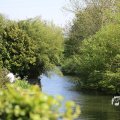 IMG_1348952