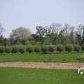 IMG_1348963