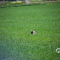 IMG_1348967