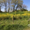 IMG_1348969