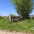 IMG_1348970