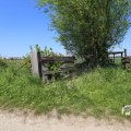 IMG_1348972