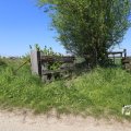 IMG_1348973