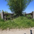 IMG_1348974