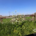 IMG_1348980