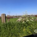 IMG_1348981