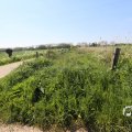 IMG_1348982