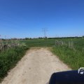 IMG_1348985
