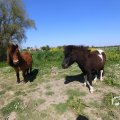 IMG_1348996