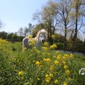 IMG_1349003