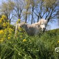 IMG_1349004
