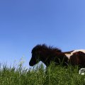 IMG_1349015