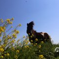 IMG_1349017