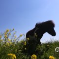 IMG_1349018