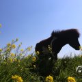 IMG_1349019