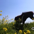 IMG_1349020