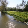 IMG_1349028