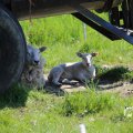 IMG_1349037