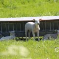 IMG_1349040