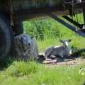 IMG_1349041