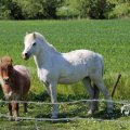 IMG_1349043