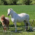 IMG_1349044