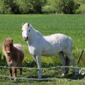 IMG_1349045
