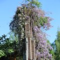 IMG_1349046
