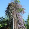 IMG_1349047