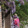 IMG_1349049