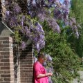 IMG_1349051