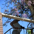 IMG_1349053