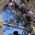 IMG_1349054