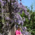 IMG_1349055