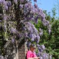 IMG_1349056