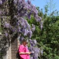 IMG_1349057