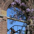 IMG_1349060