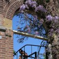 IMG_1349061