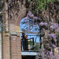 IMG_1349063