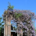 IMG_1349065