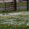 IMG_1349073