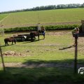 IMG_1349142