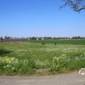 IMG_1349160
